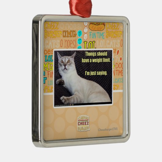 皮ひもに重量の限界があるべきです メタルオーナメント (右)