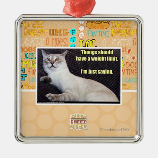 皮ひもに重量の限界があるべきです メタルオーナメント (正面)