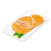 皮をむいたミカン マグネット (左側)