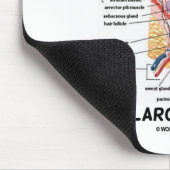 皮を剥いで下さい私達の最も大きい器官(皮膚層)の マウスパッド (コーナー)