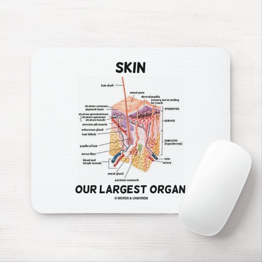 皮を剥いで下さい私達の最も大きい器官(皮膚層)の マウスパッド (マウス)