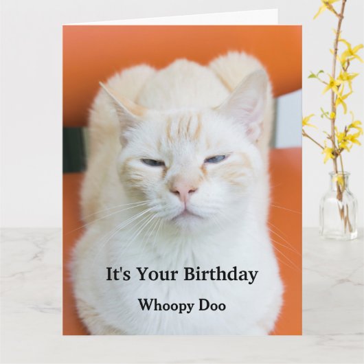 皮肉おもしろいな猫の誕生日カード カード (黄色い花)