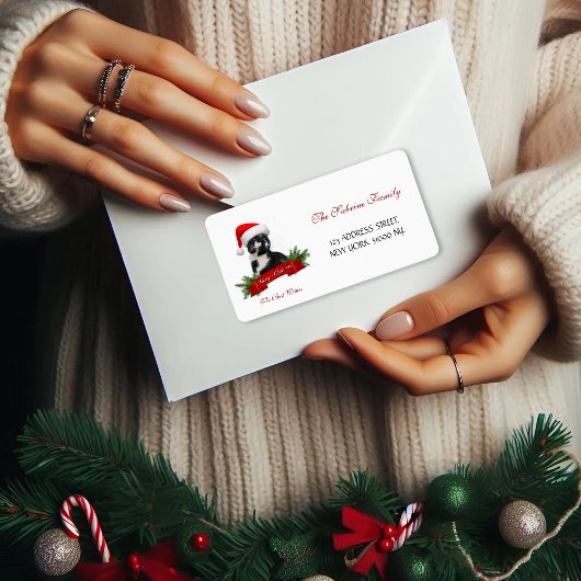 皮肉なおもしろい猫サンタスハットクリスマスアドレス ラベル