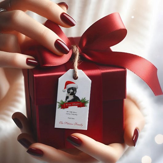 皮肉なおもしろい猫サンタスハットクリスマスギフトタグ ギフトタグ