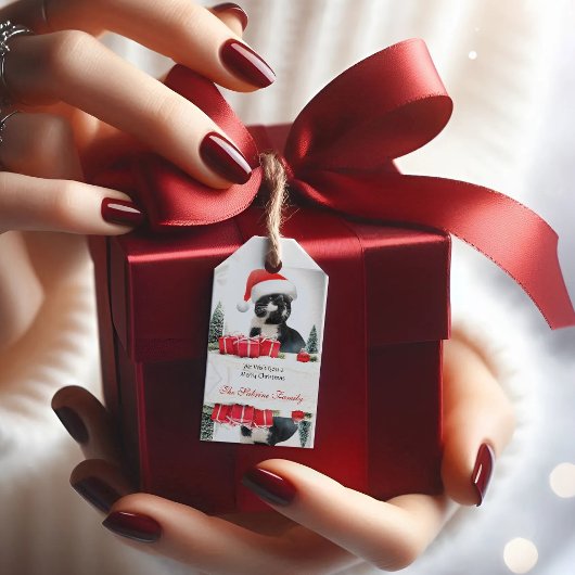 皮肉なおもしろい猫サンタスハットクリスマスギフトタグ ギフトタグ