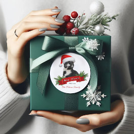 皮肉なおもしろい猫サンタスハットクリスマスステッカー ラウンドシール