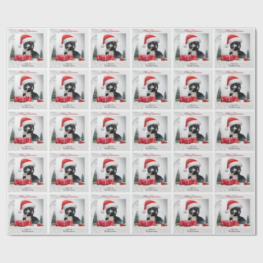 皮肉なおもしろい猫サンタスハットクリスマス ラッピングペーパー (フラット)