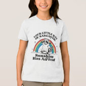 皮肉なアライグマ虹 トライブレンドＴシャツ (正面)