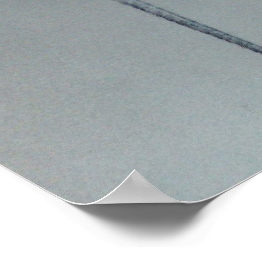 皮肉なトカゲの人生の秘密 ポスター (角)