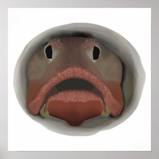 皮肉なフリンゲヘッド – 魚の頭 ポスター (正面)