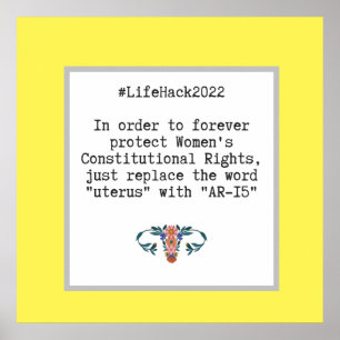 皮肉な引用文女性の憲法上の権利 ポスター