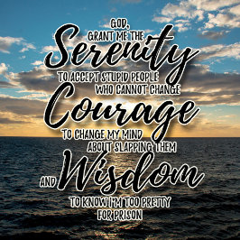 皮肉な愚かな人々セレニティ祈りの言葉Tシャツ Tシャツ