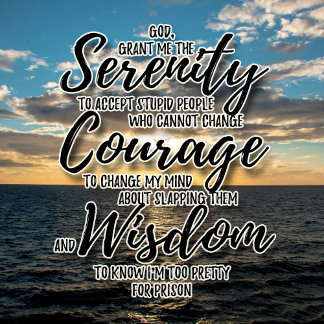 皮肉な愚かな人々セレニティ祈りの言葉Tシャツ Tシャツ