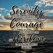 皮肉な愚かな人々セレニティ祈りの言葉Tシャツ Tシャツ