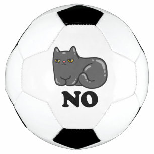 皮肉な猫 サッカーボール