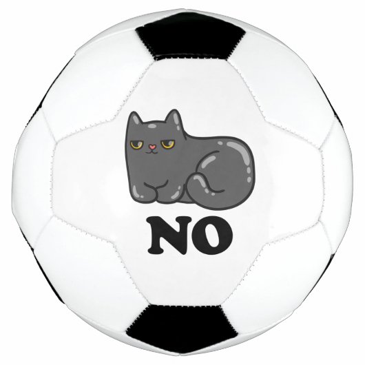 皮肉な猫 サッカーボール (正面)