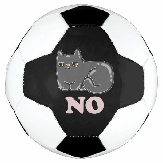 皮肉な猫 サッカーボール (正面)