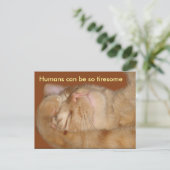 皮肉な猫 – Humans Can Be Tiresome ポストカード (スタンド正面)
