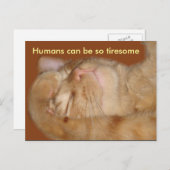 皮肉な猫 – Humans Can Be Tiresome ポストカード (正面/裏面)