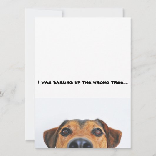 皮肉な誕生日 カード (裏面)