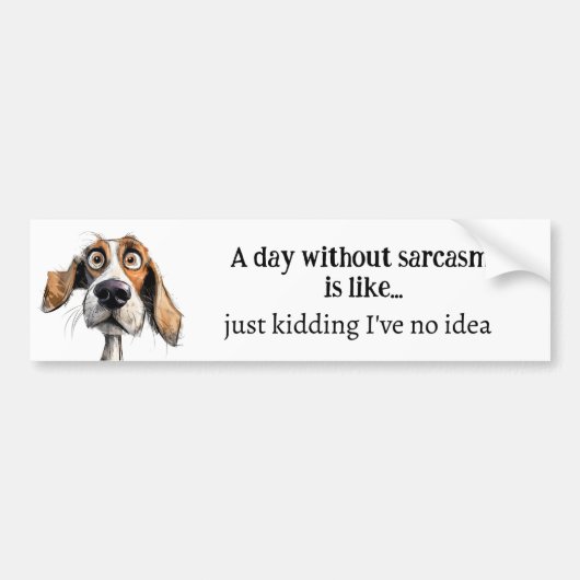 皮肉のない一日…私はアイディアおもしろい引用文 バンパーステッカー (正面)