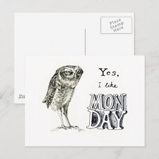 皮肉フクロウ ポストカード (正面/裏面)