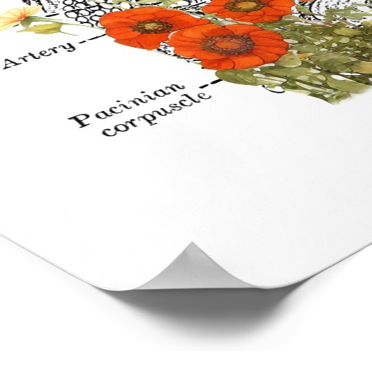 皮膚科の皮膚解剖学アートフローラ詳細 ポスター (角)