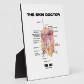 皮膚科は解剖学皮膚科に属する フォトプラーク (側面)