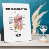 皮膚科は解剖学皮膚科に属する フォトプラーク (側面)