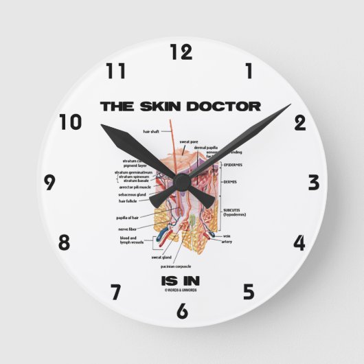 皮膚科は解剖学皮膚科に属する ラウンド壁時計 (正面)