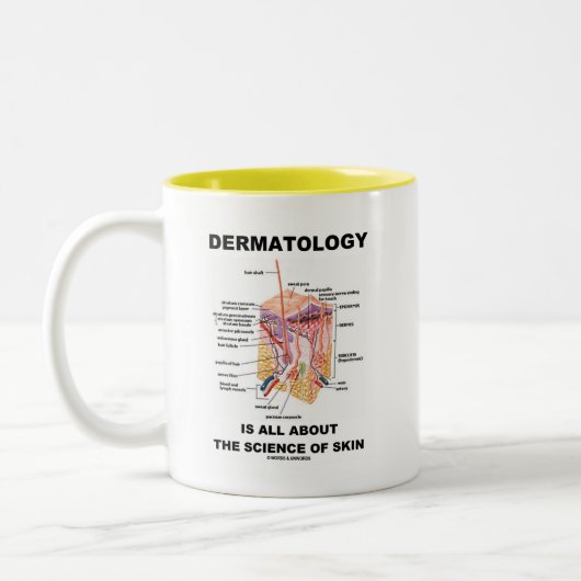 皮膚科学は皮の科学について完全にあります ツートーンマグカップ (左)