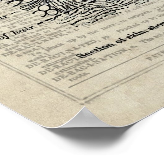 皮膚解剖学ブルーフローラヴィンテージ辞書Art de ポスター (角)