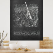 皮膚解剖学的断面図皮膚科デコール ポスター (キッチン)