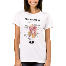 皮(皮の層)によって魅了される