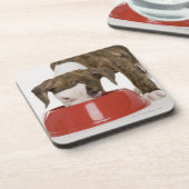 皿からの子犬のピットブルの食べ物 コースター (左側)