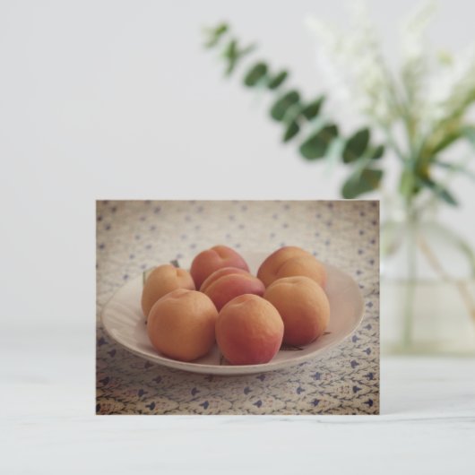 皿の上の杏 ポストカード (スタンド正面)