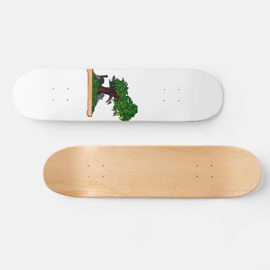 皿の石が付いているPenjingの盆栽の直立した木 スケートボード (横)