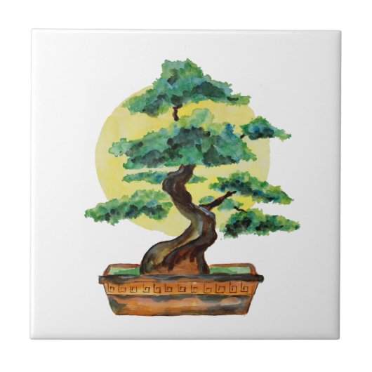盆栽の木と日差し タイル (正面)