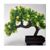 盆栽の木 タイル (正面)