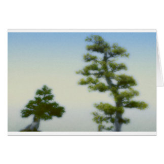 盆栽の松の木のグループ