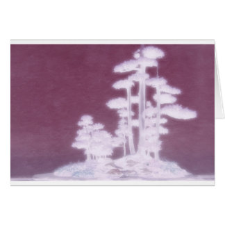 盆栽の松の木のグループ