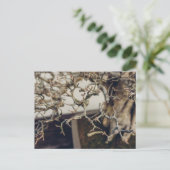 盆栽の枝 ポストカード (スタンド正面)