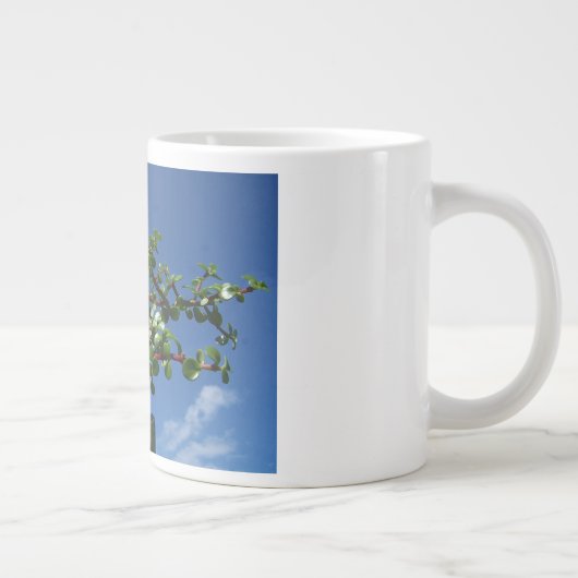 盆栽のportulacariaのafraの木1 ジャンボコーヒーマグカップ (右)