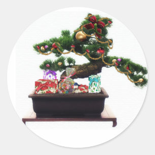 盆栽クリスマスツリー ラウンドシール