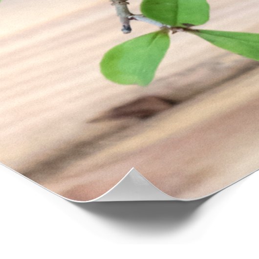 盆栽日本のの木の写真 ポスター (角)