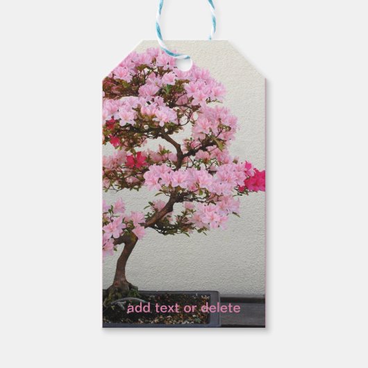 盆栽 ギフトタグ (正面)