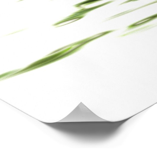 盆栽 ポスター (角)