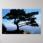 「盆栽」 ポスター (正面)