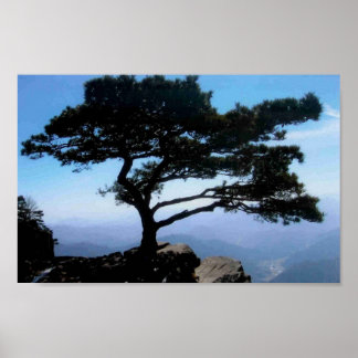 「盆栽」 ポスター