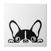 盗フランスのみ タイル (正面)